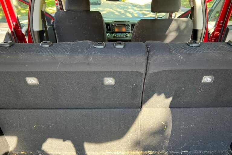 Car Detailing East York ☑️ Interior, Exterior & Mobile Auto Detailing