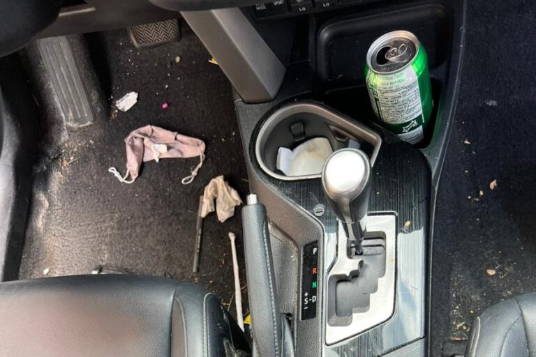 Car Detailing ☑️ Interior, Exterior & Mobile Auto Detailing