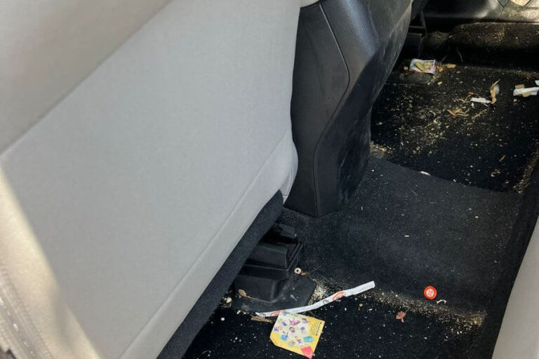 Car Detailing Orangeville ☑️ Interior, Exterior & Mobile Auto Detailing