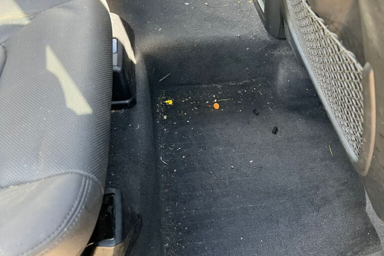 Car Detailing Mississauga ☑️ Interior, Exterior & Mobile Auto Detailing