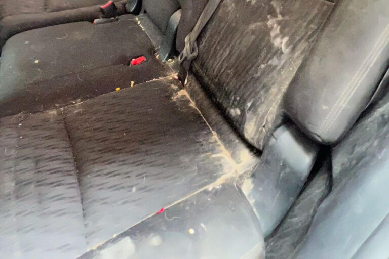 Car Detailing Oakville ☑️ Interior, Exterior & Mobile Auto Detailing