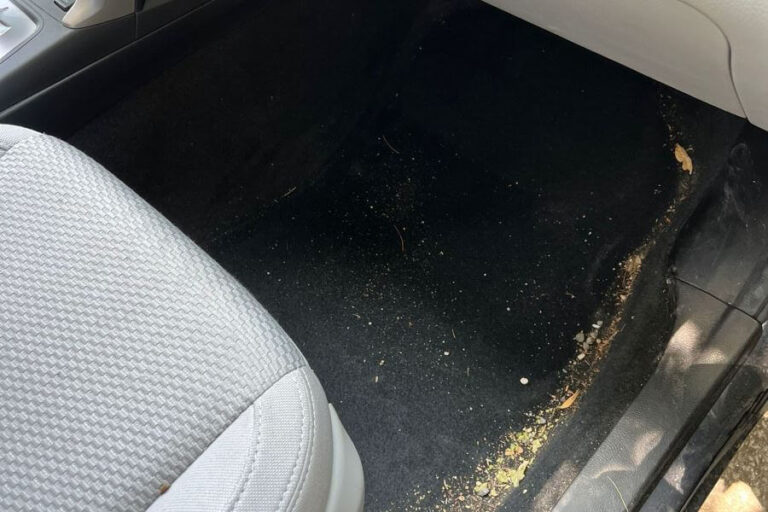 Car Detailing Orangeville ☑️ Interior, Exterior & Mobile Auto Detailing