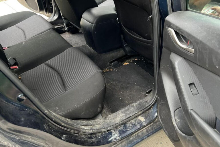 Car Detailing Woodstock ☑️ Interior, Exterior & Mobile Auto Detailing